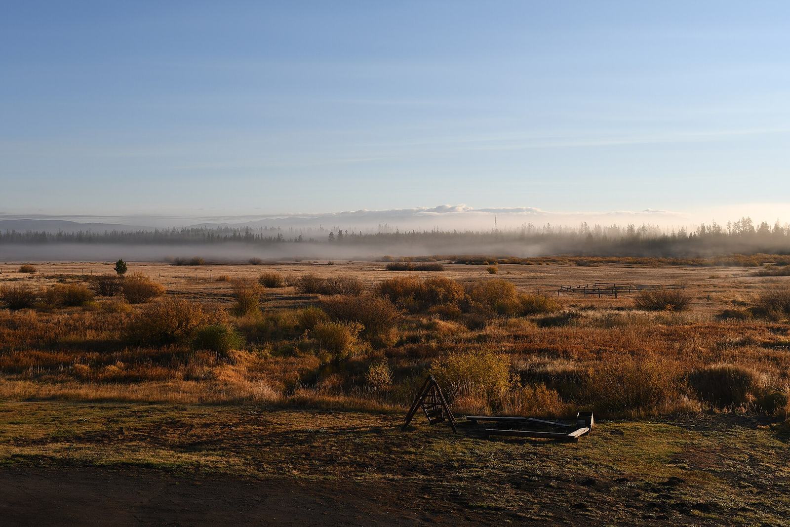 West Yellowstone, Montana: The Complete Guide to Yellowstone’s Busiest Gateway Town
