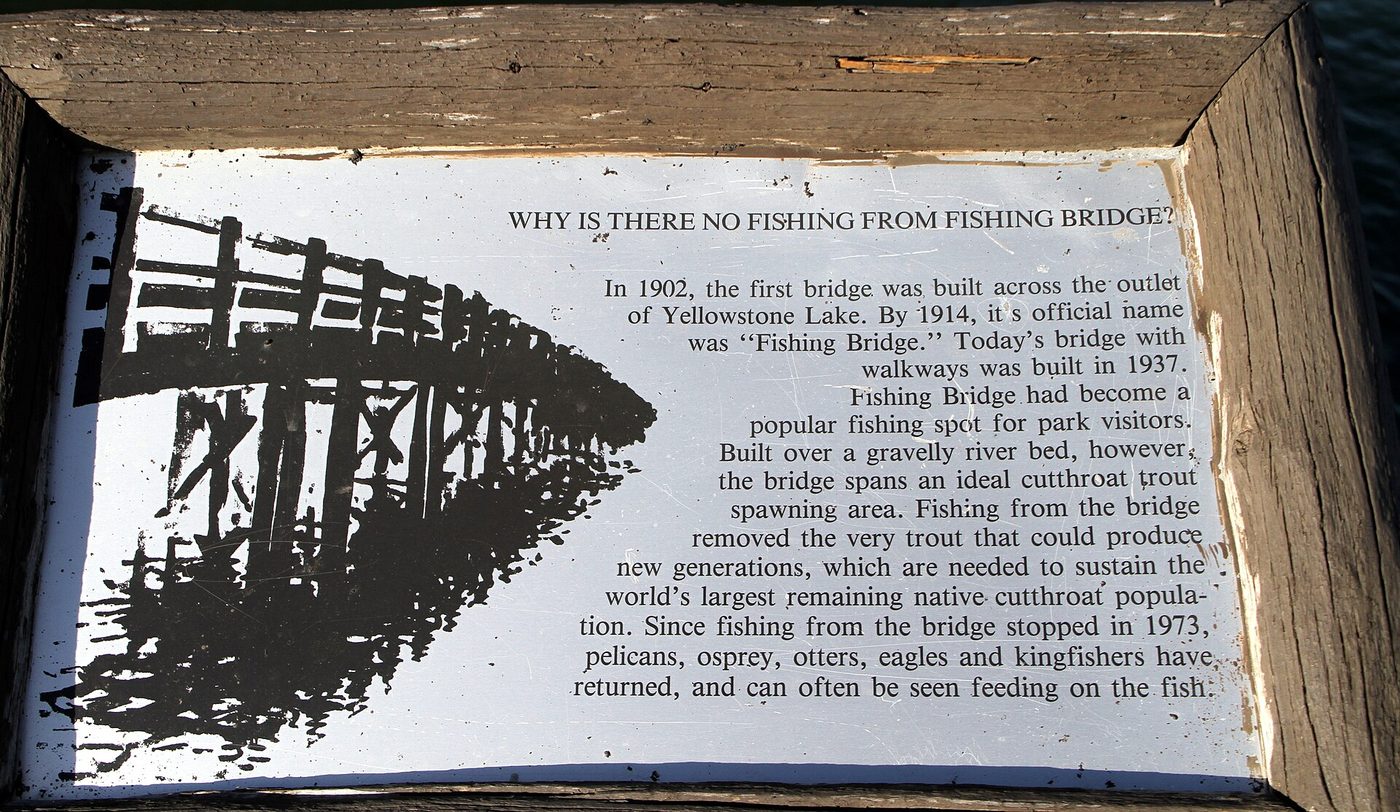An interpretive sign explaining why fishing from Fishing Bridge ended