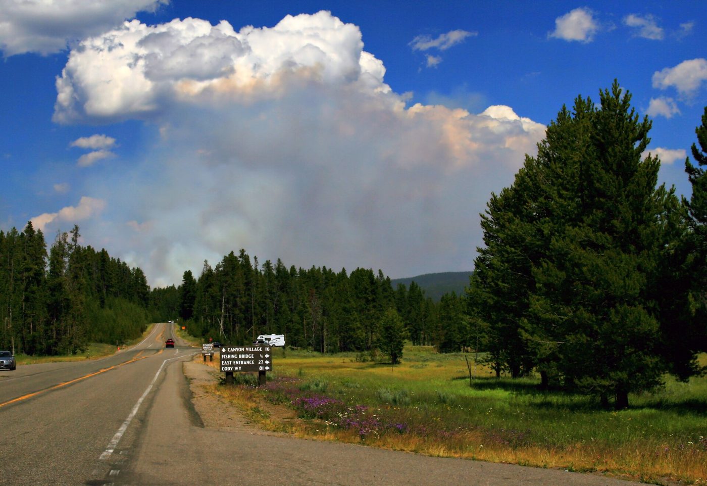 A tall column of wildfire smoke rising behind a forested park road in summer