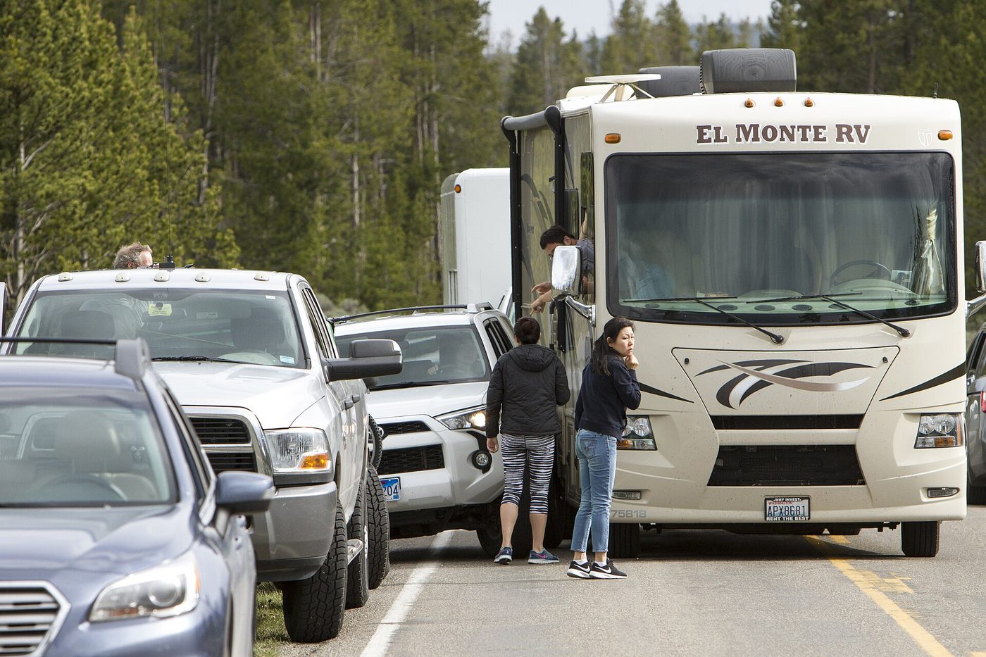 Drivers standing beside a pickup and an RV after a minor collision in a wildlife jam