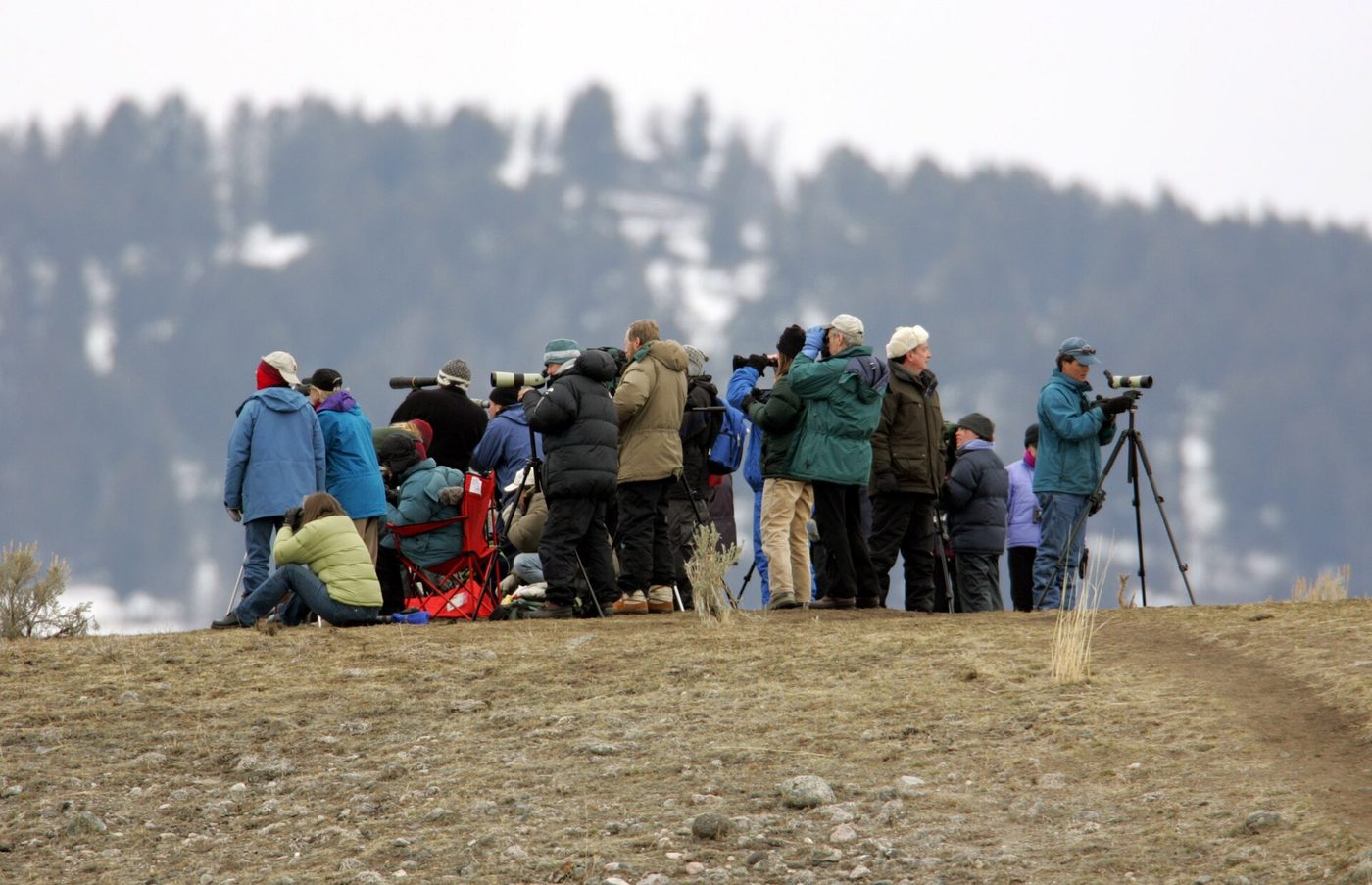 Group of wildlife watchers with spotting scopes on tripods on a ridge in early spring