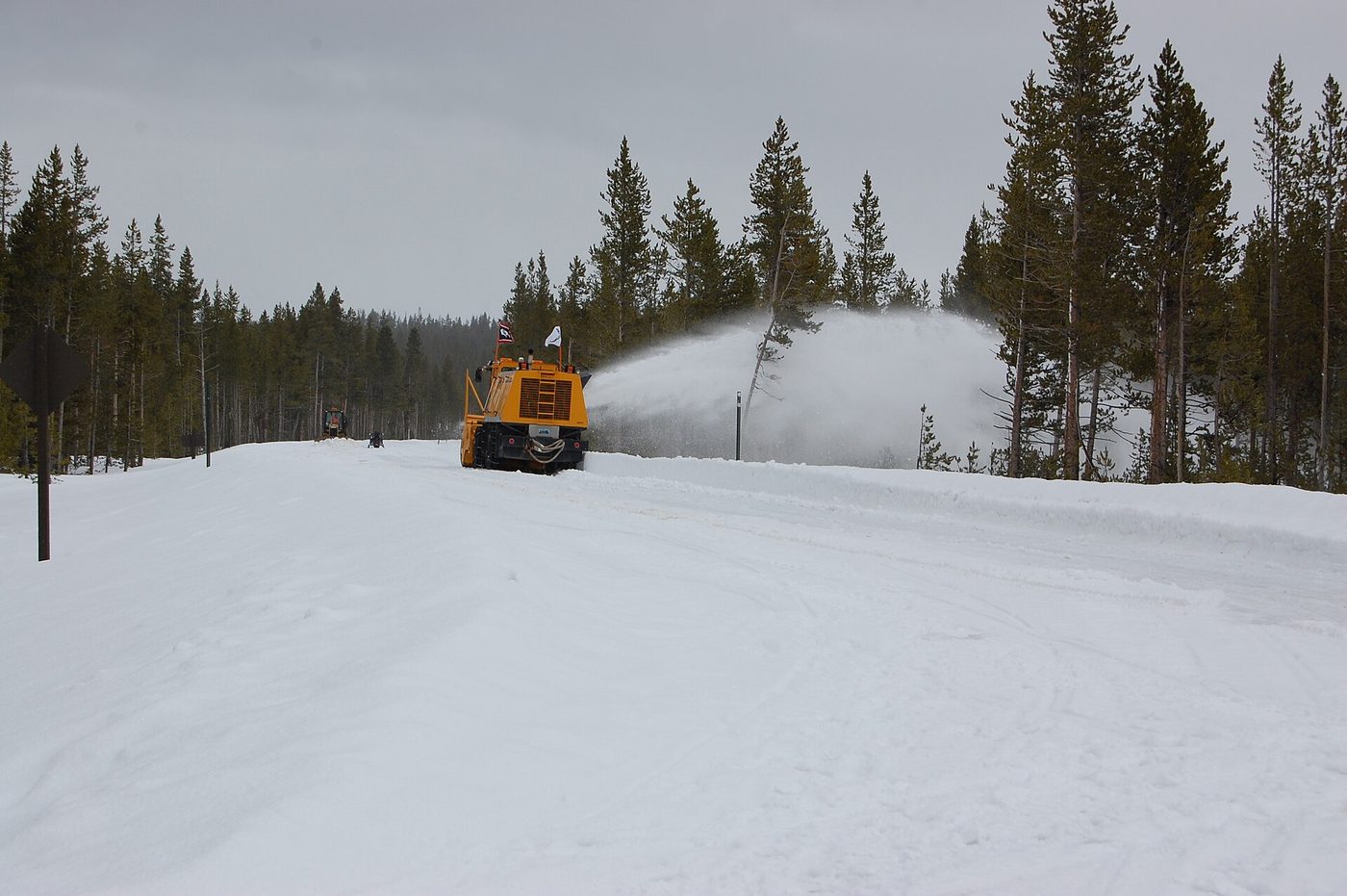 A yellow rotary snowplow blowing snow off the South Entrance Road in spring