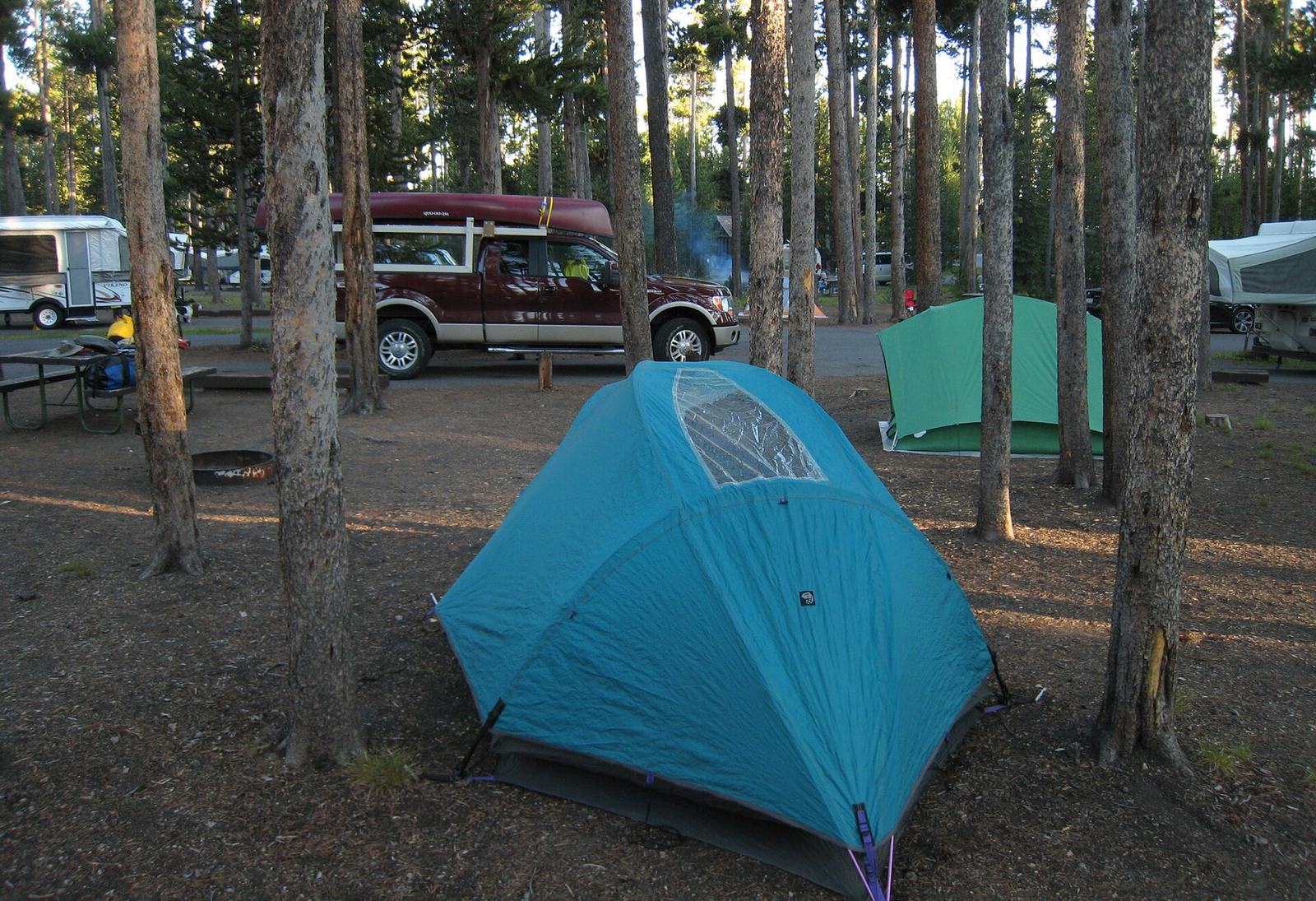 Yellowstone Campground Reservations: The 2027 Move to Recreation.gov Explained