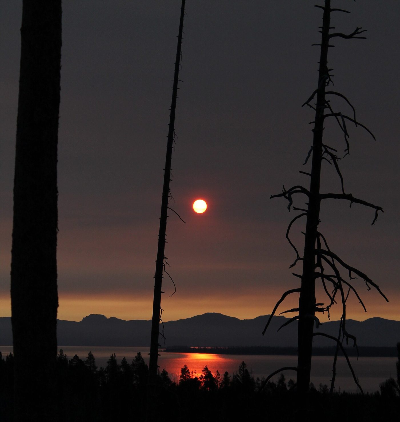Sunrise through smoke haze over Yellowstone Lake behind standing dead trees