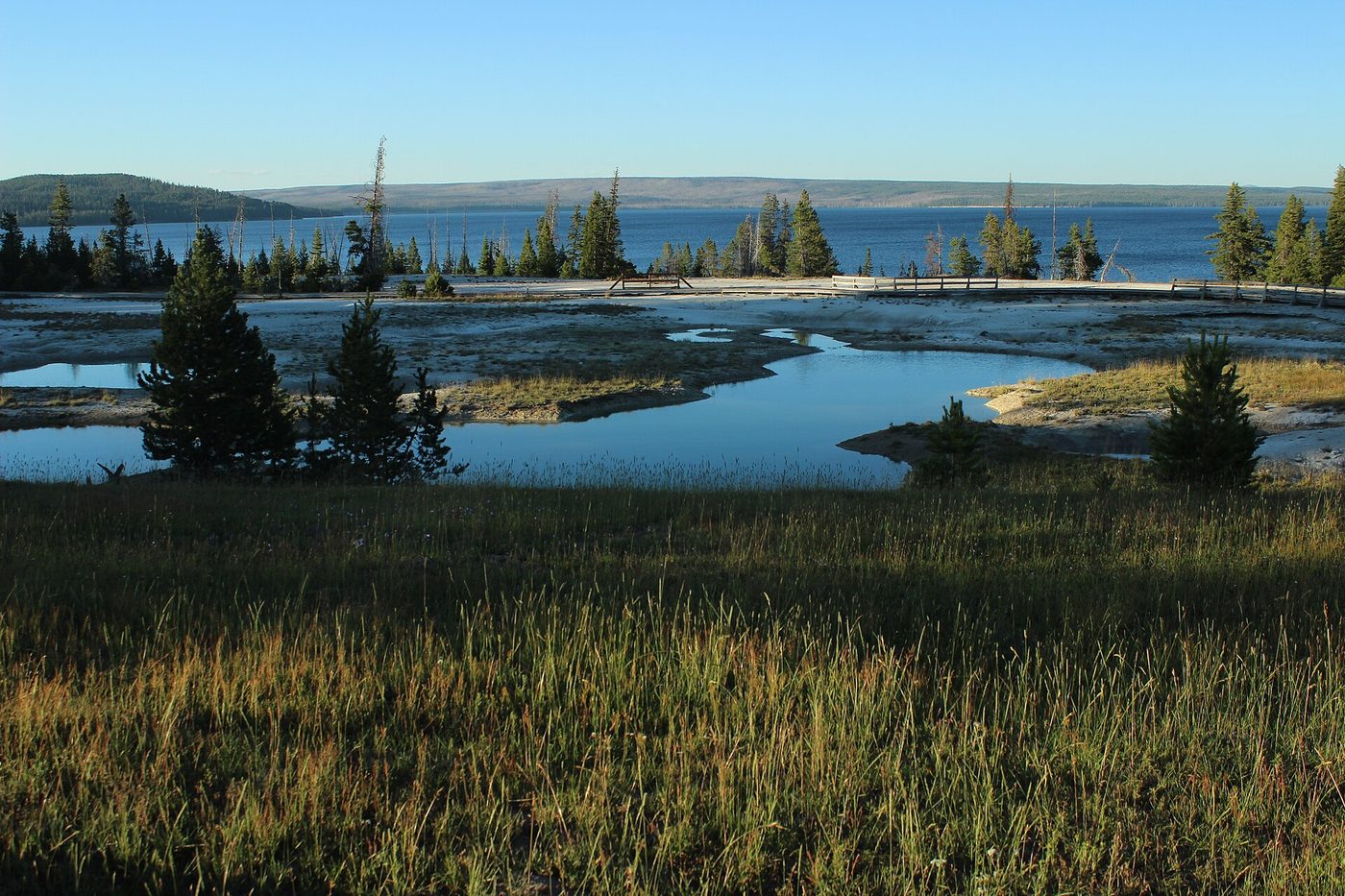 Thermal pools and green grass at West Thumb with the lake behind in early light