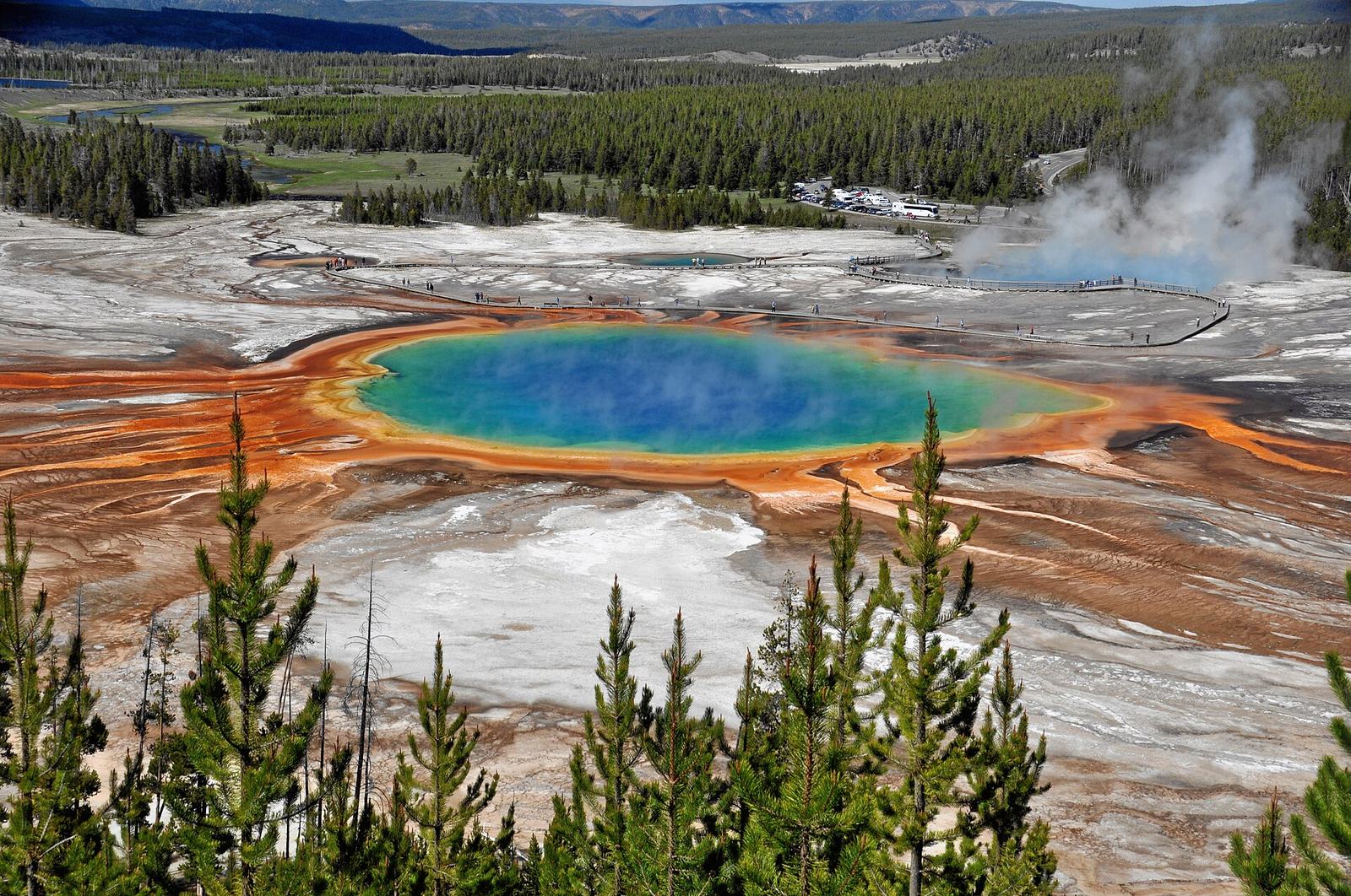 Yellowstone National Park Facts: The Numbers Every Visitor Should Know