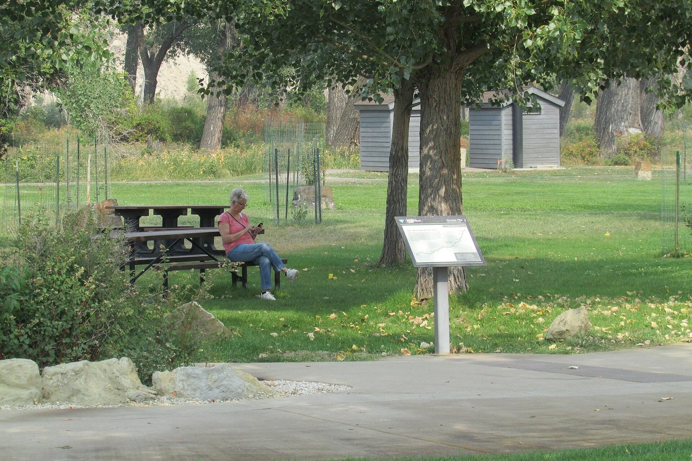 A picnic table under cottonwood trees at a park picnic area with a visitor sitting nearby