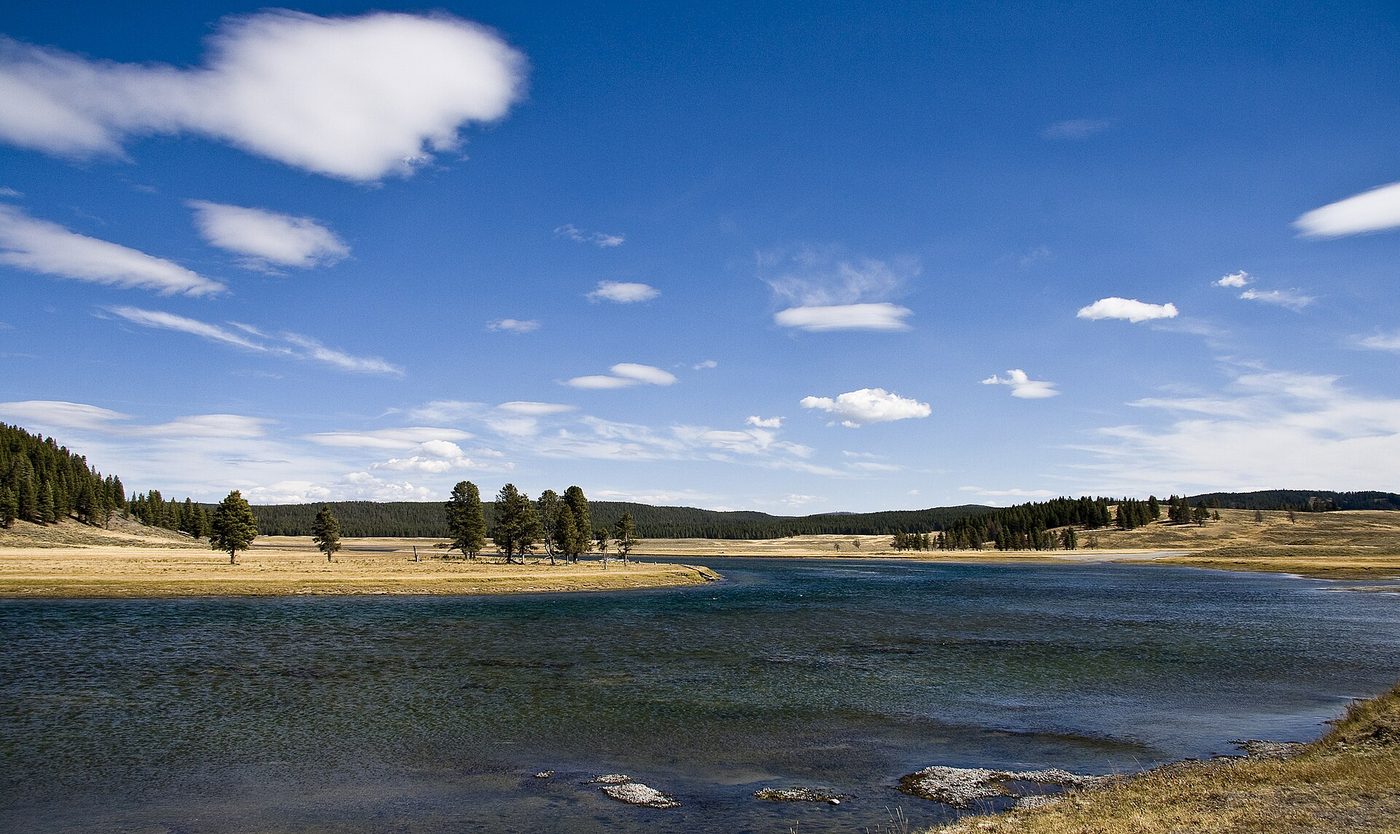 The wide, slow Yellowstone River flowing through Hayden Valley