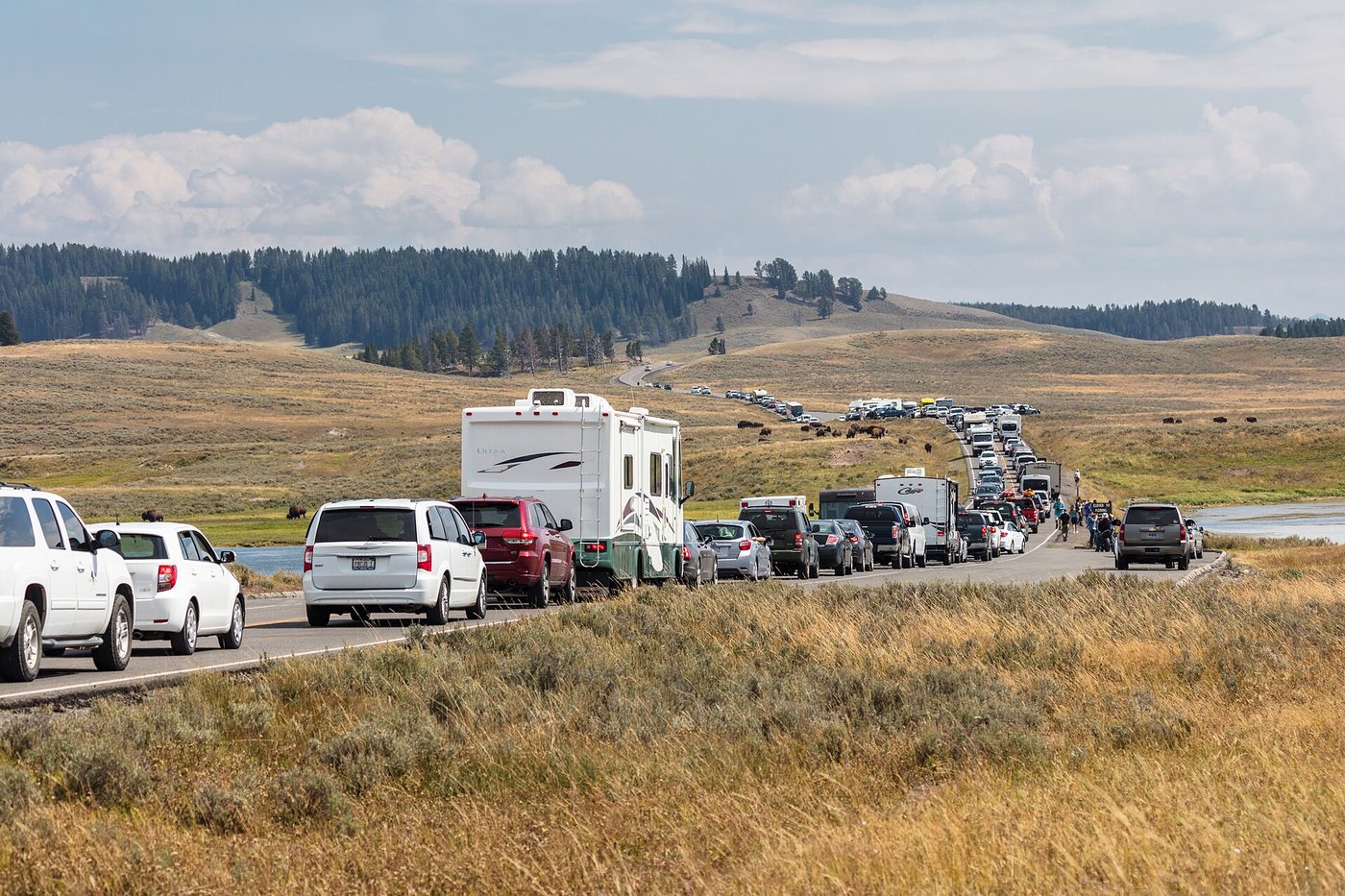 A long queue of cars and an RV stopped on a park road across open grassland